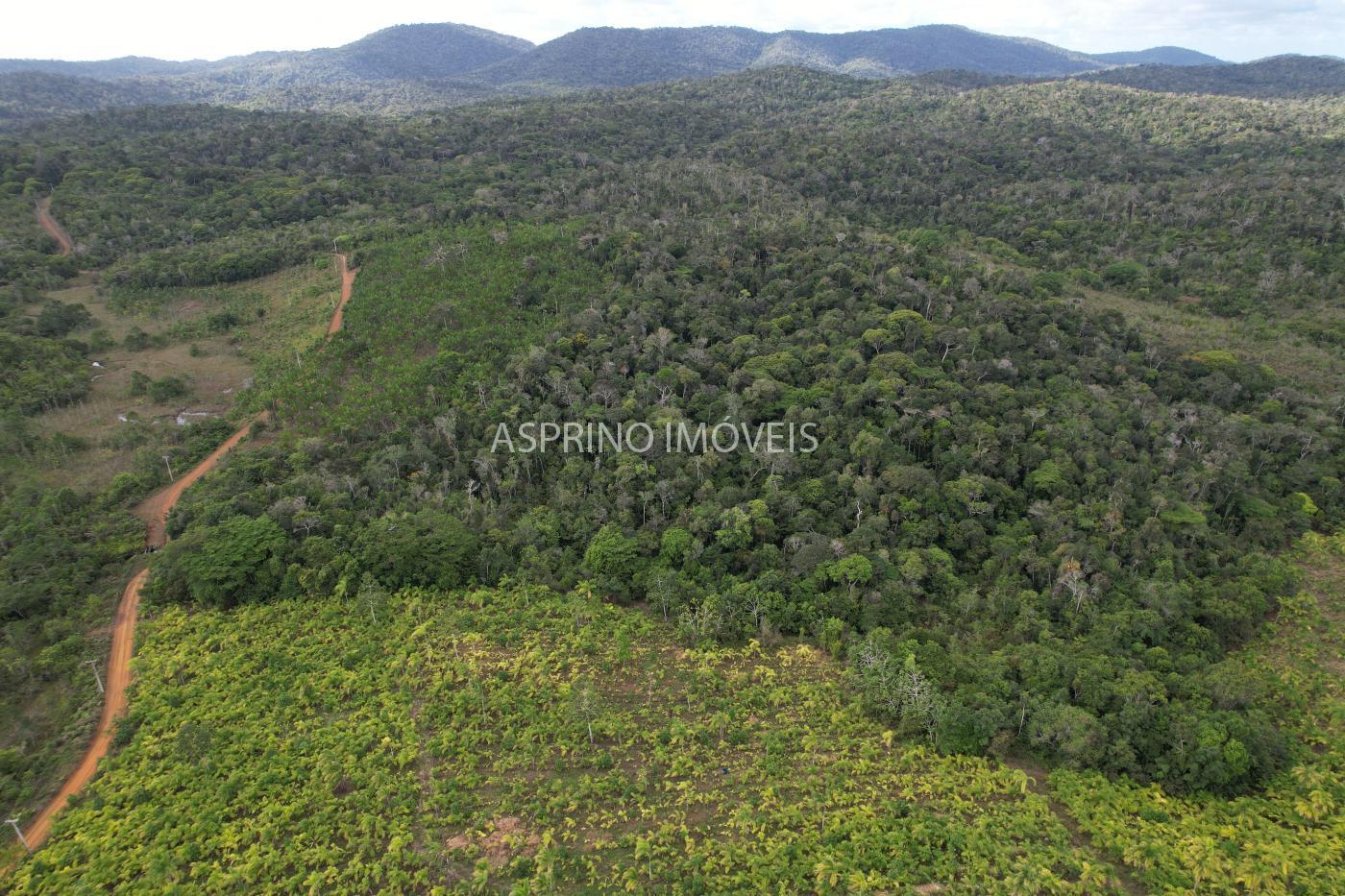 Fazenda, 145 hectares - Foto 4