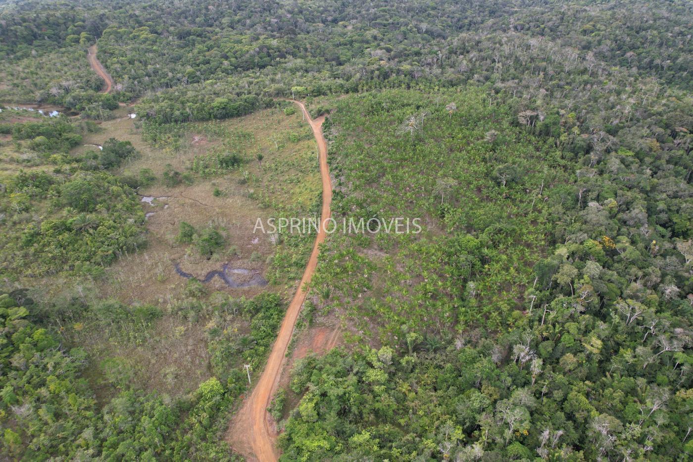 Fazenda, 145 hectares - Foto 27