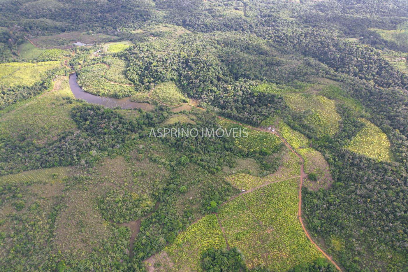 Fazenda, 145 hectares - Foto 3