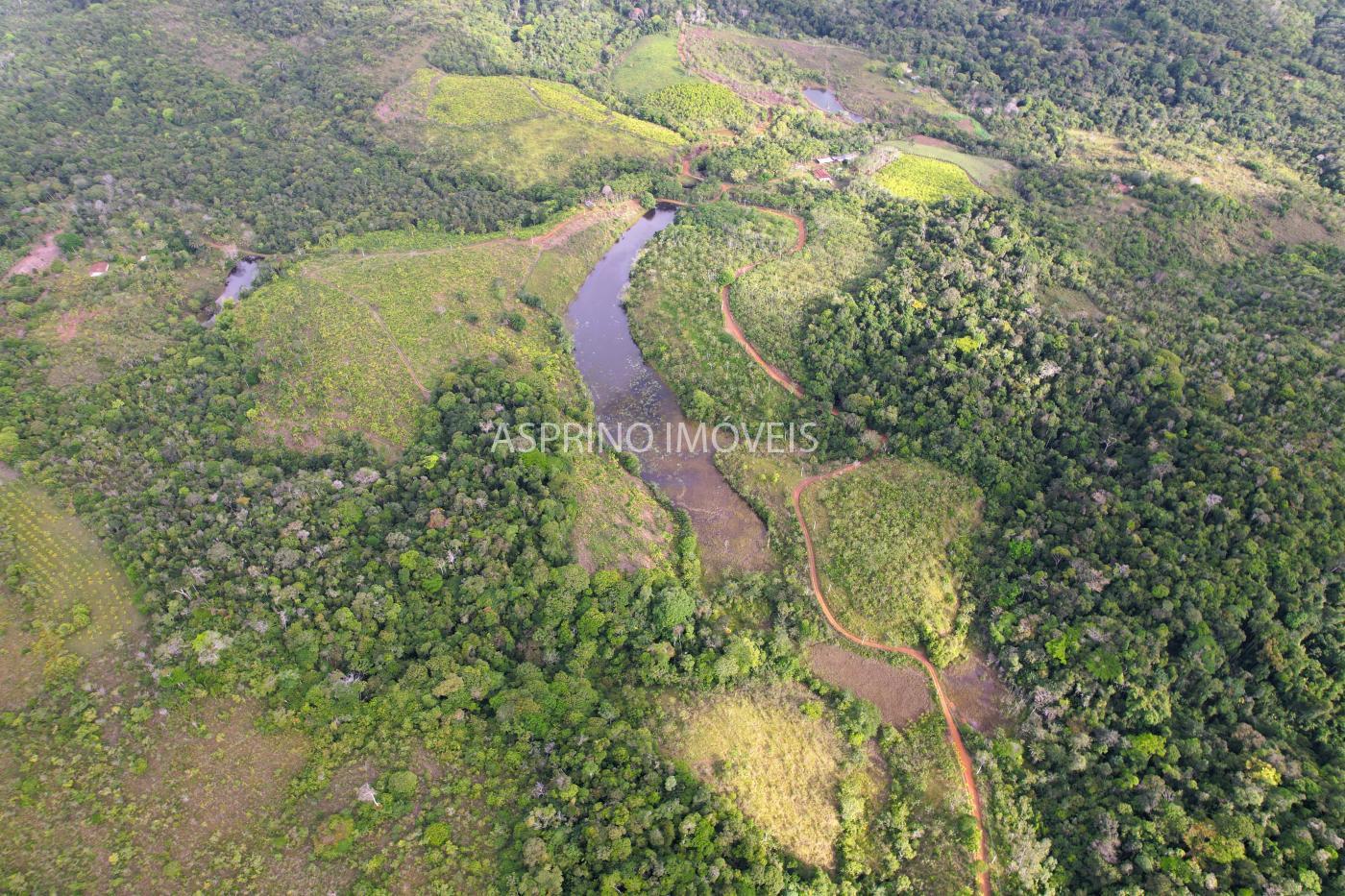 Fazenda, 145 hectares - Foto 1