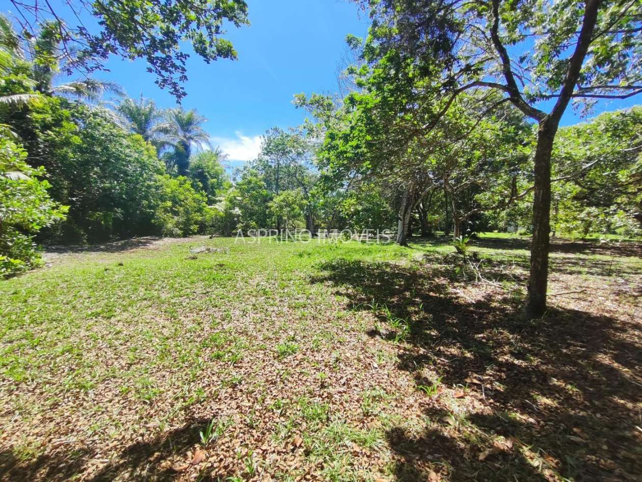 Terreno, 4 hectares - Foto 10