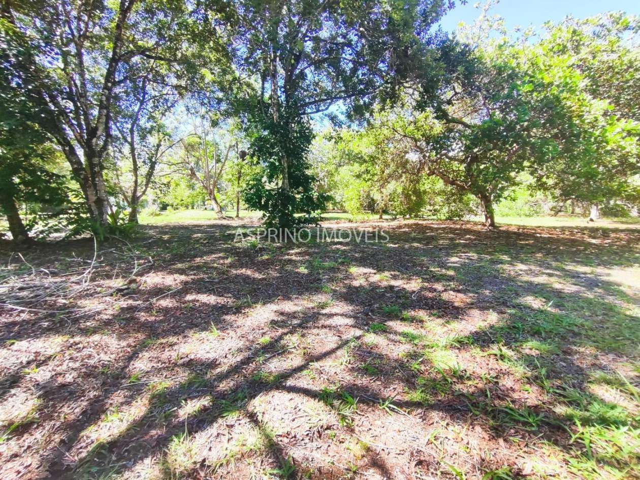 Terreno, 4 hectares - Foto 15