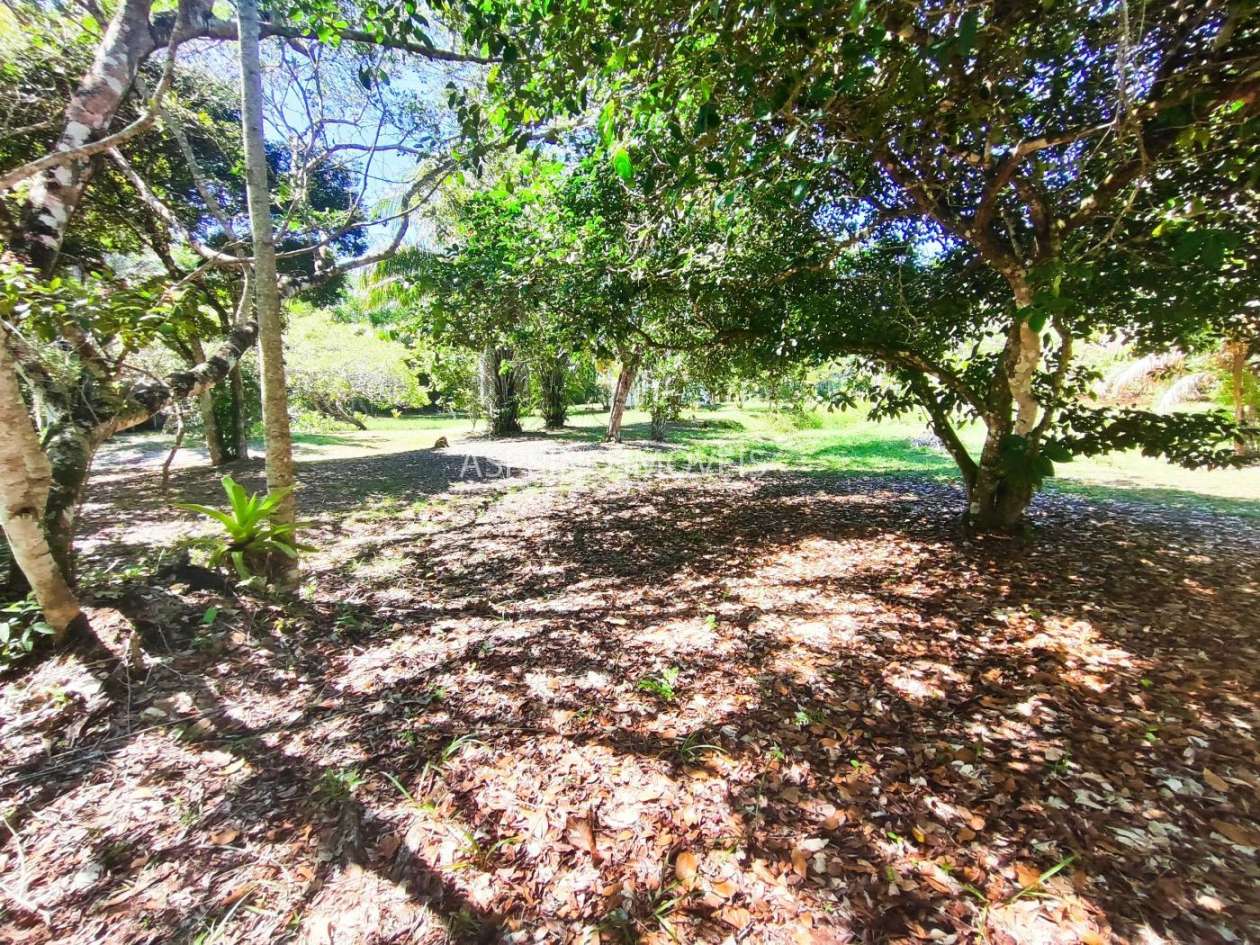 Terreno, 4 hectares - Foto 16