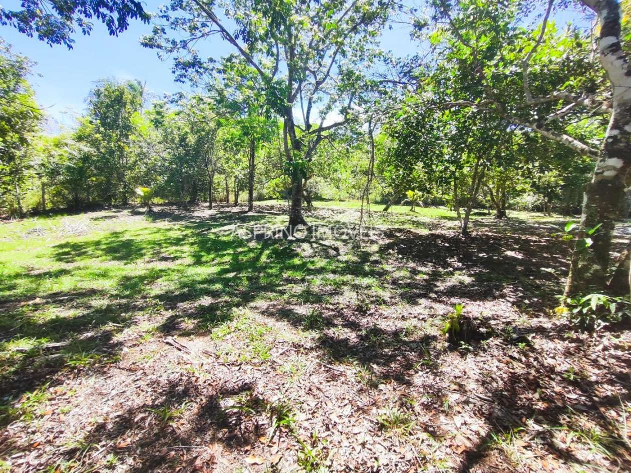 Terreno, 4 hectares - Foto 17