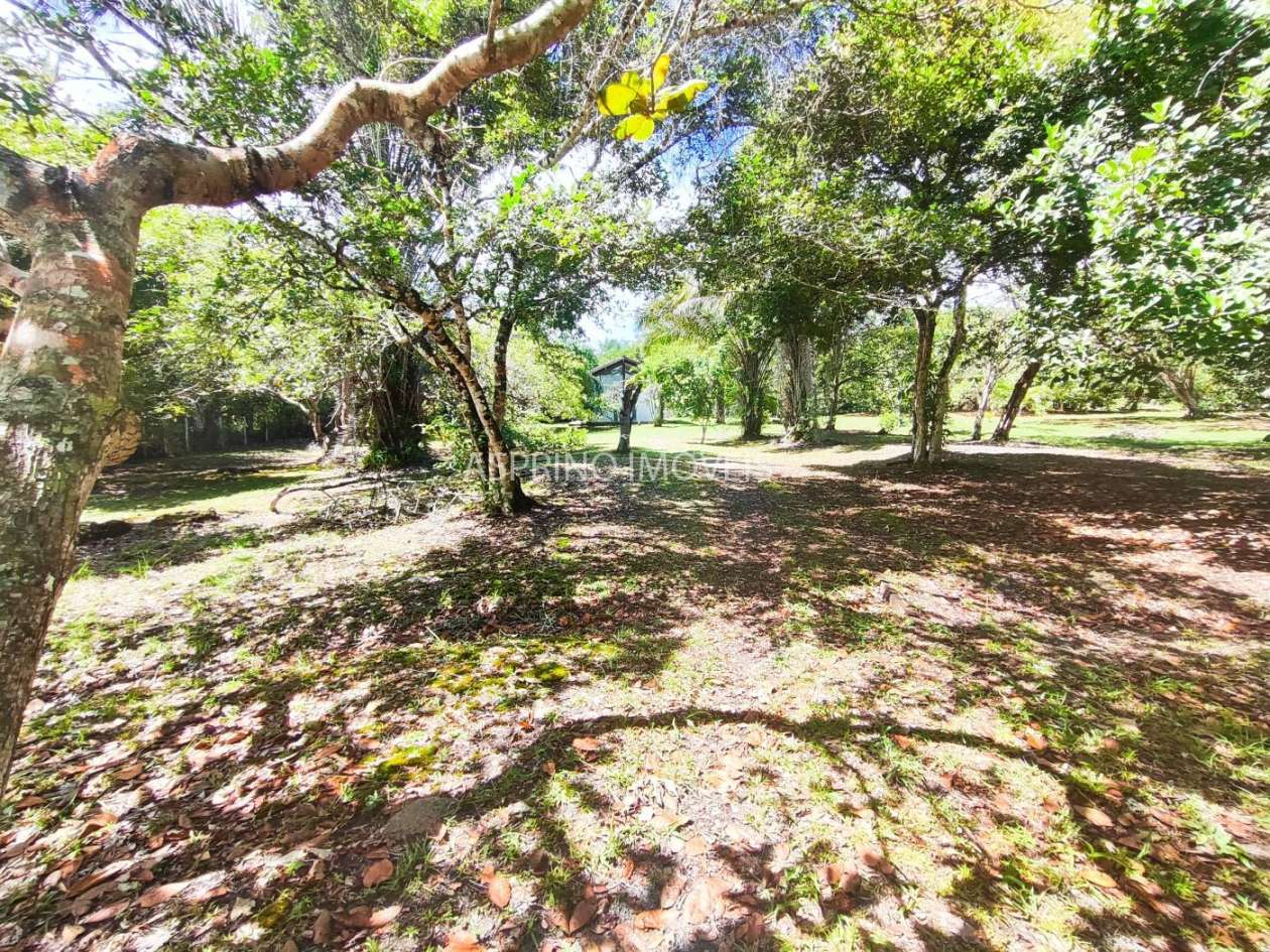 Terreno, 4 hectares - Foto 18