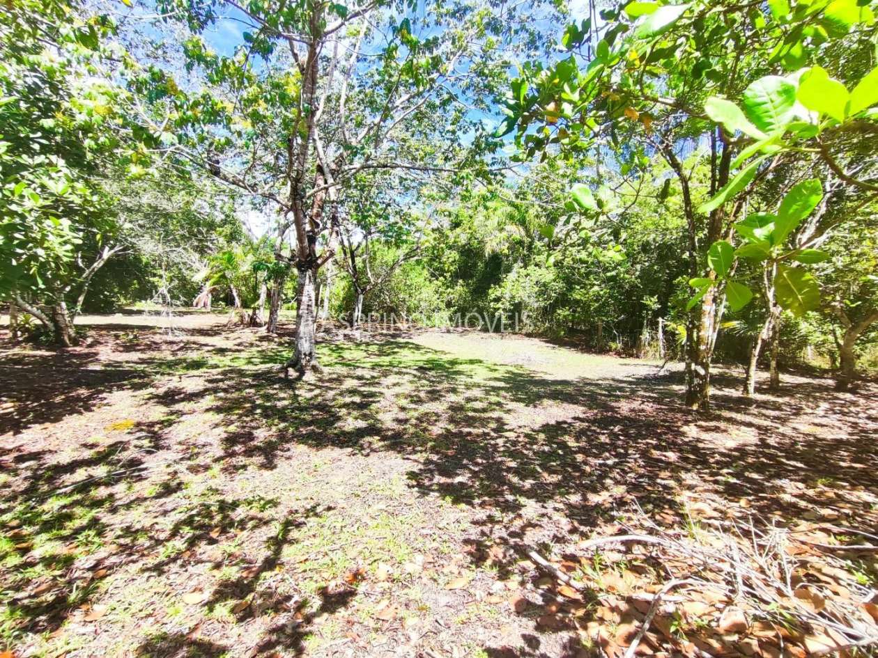 Terreno, 4 hectares - Foto 19