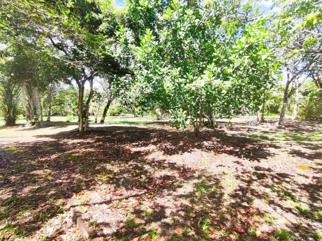 Terreno, 4 hectares - Foto 20