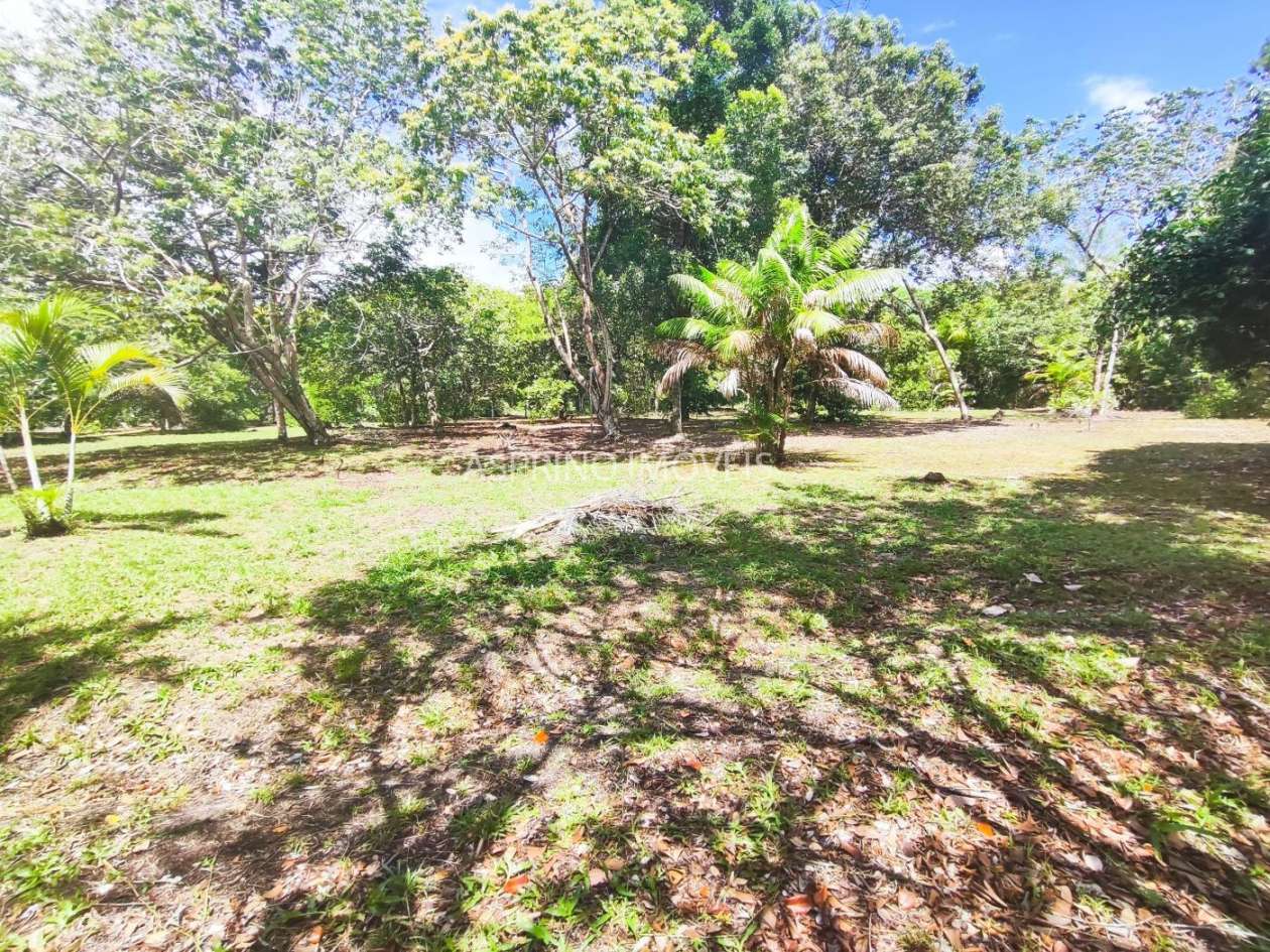 Terreno, 4 hectares - Foto 21