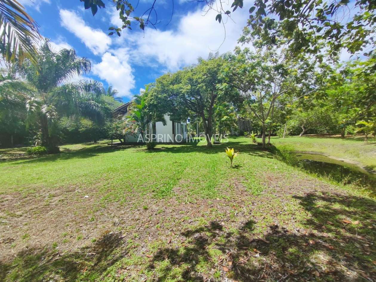 Terreno, 4 hectares - Foto 11