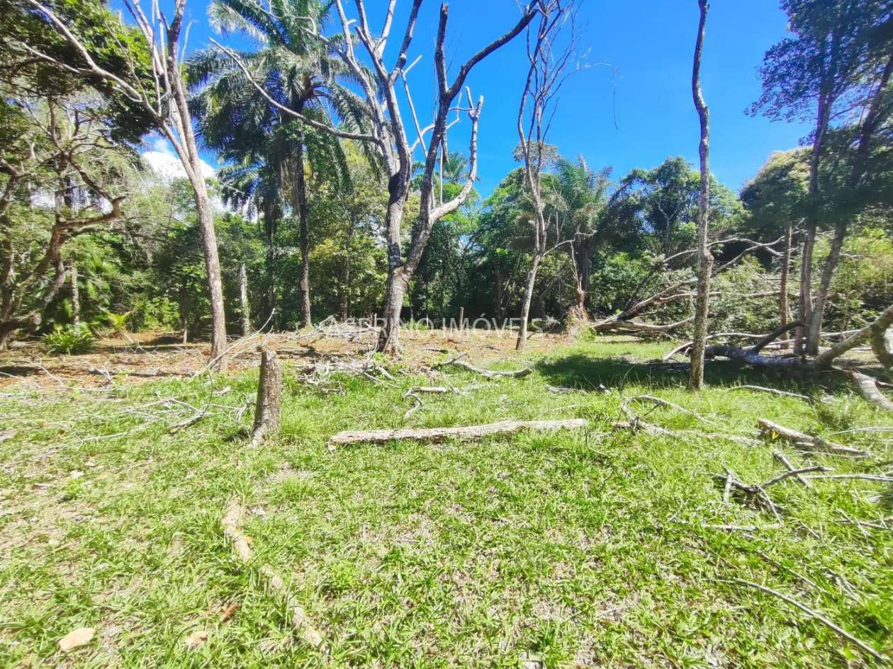 Terreno, 4 hectares - Foto 12