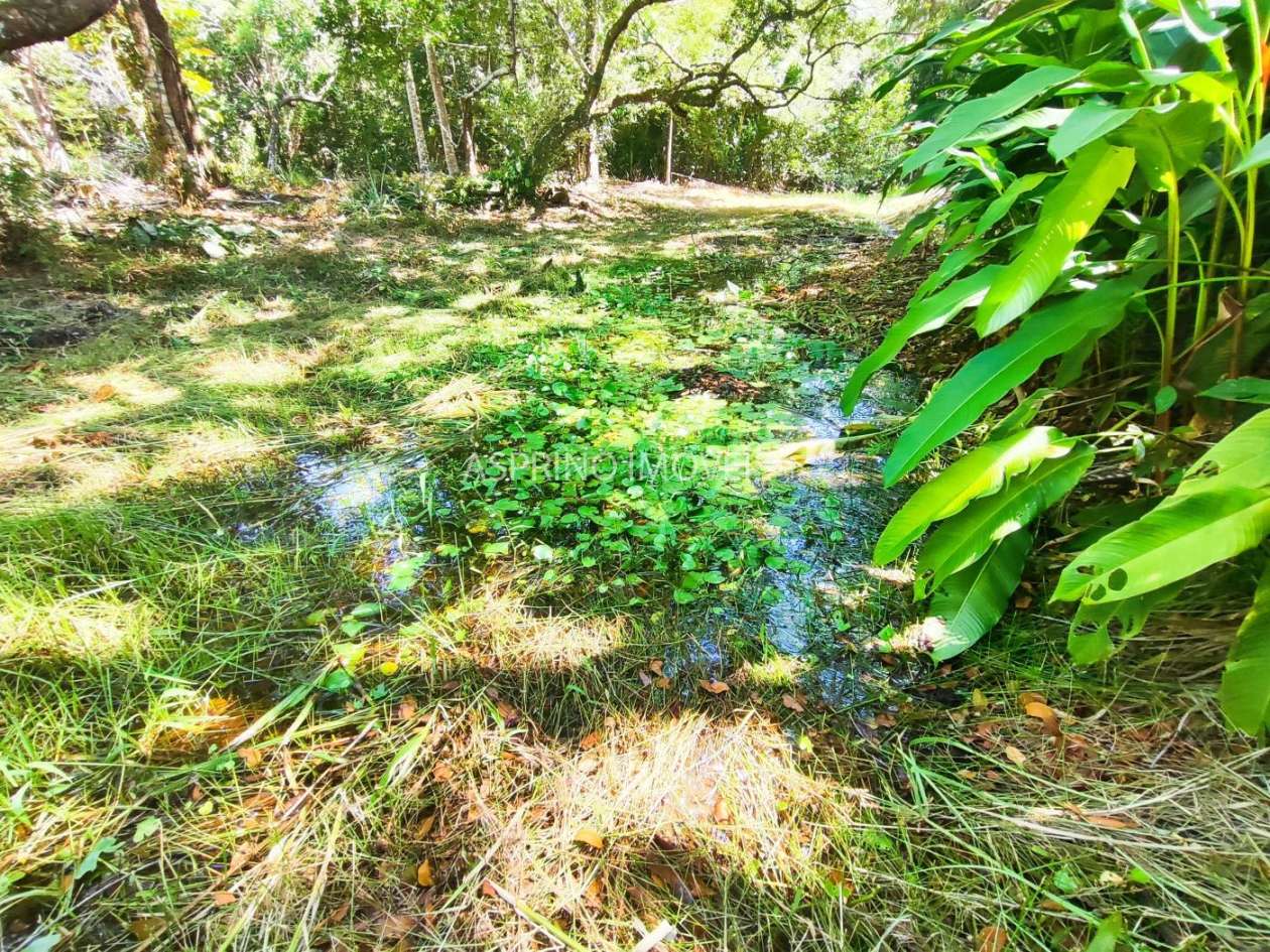 Terreno, 4 hectares - Foto 7