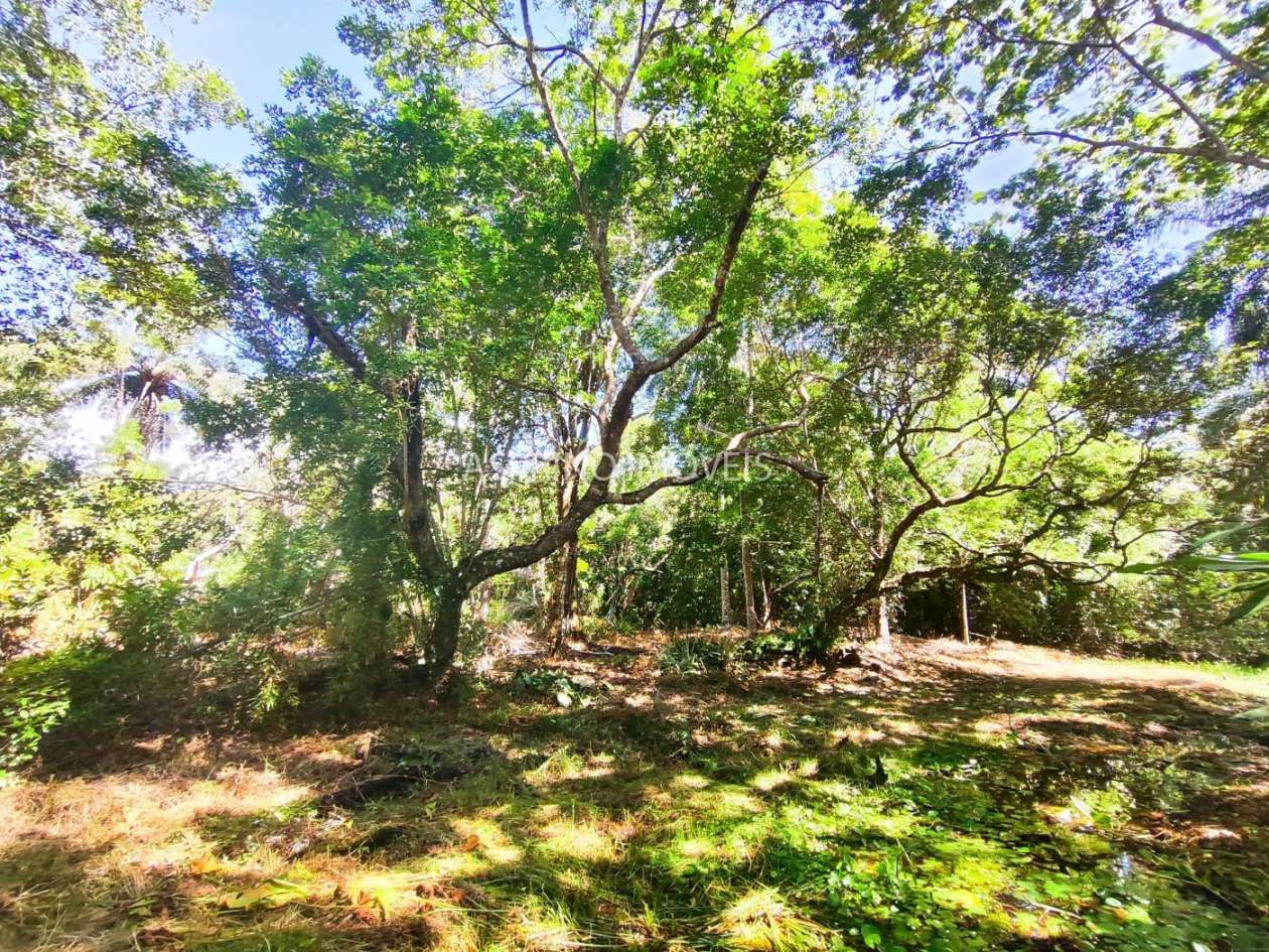 Terreno, 4 hectares - Foto 14