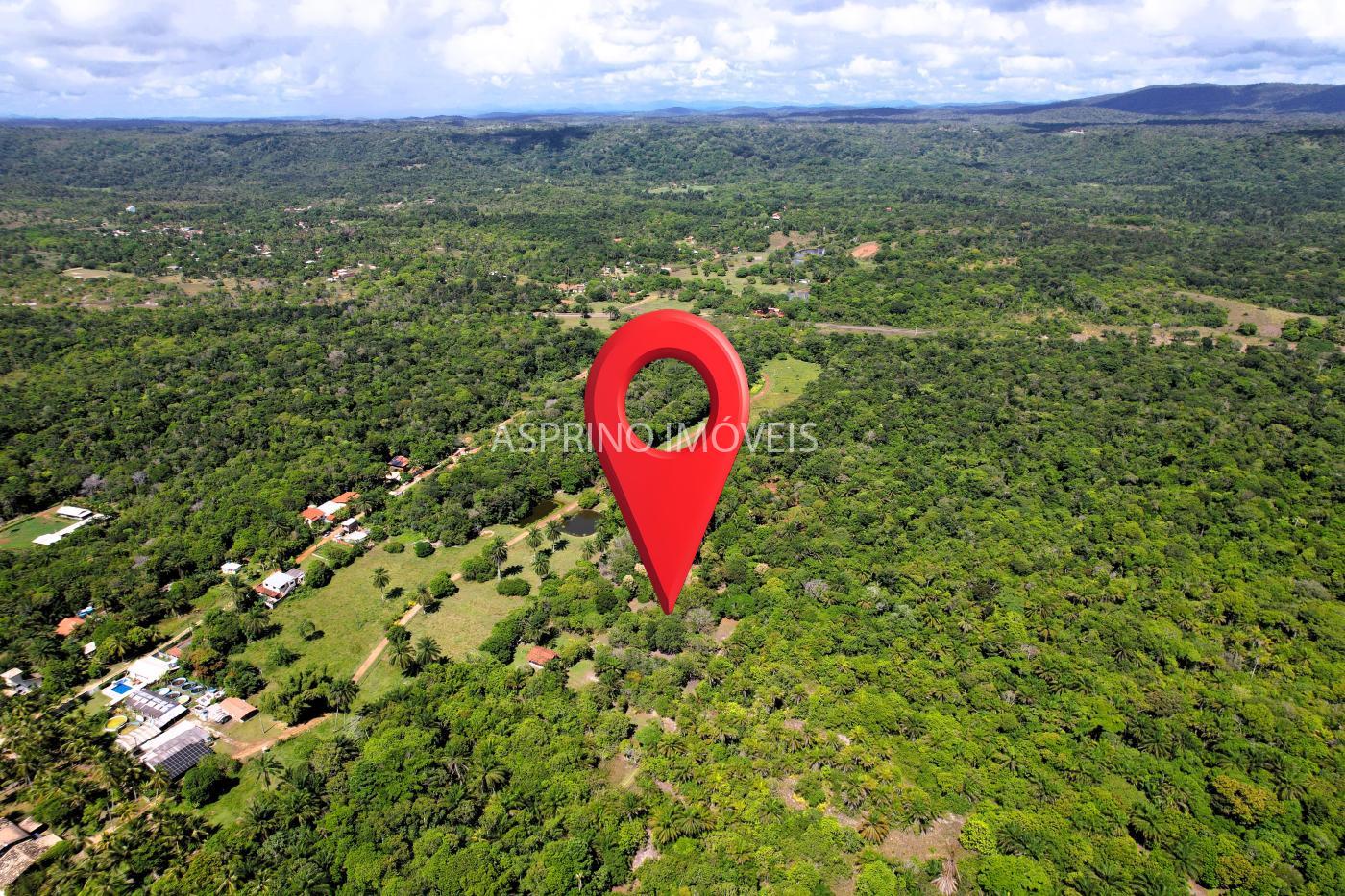 Terreno, 4 hectares - Foto 3