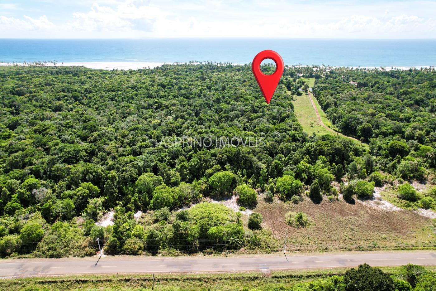 Terreno, 4 hectares - Foto 5