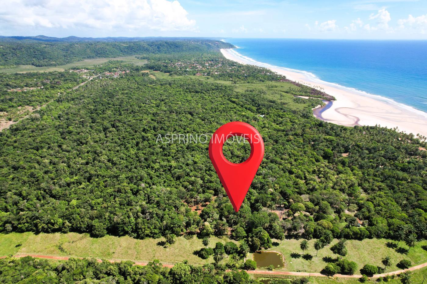 Terreno, 4 hectares - Foto 4