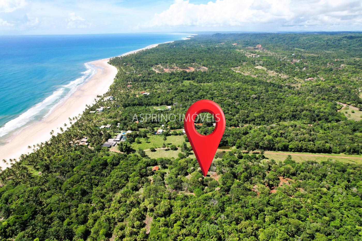 Terreno, 4 hectares - Foto 2