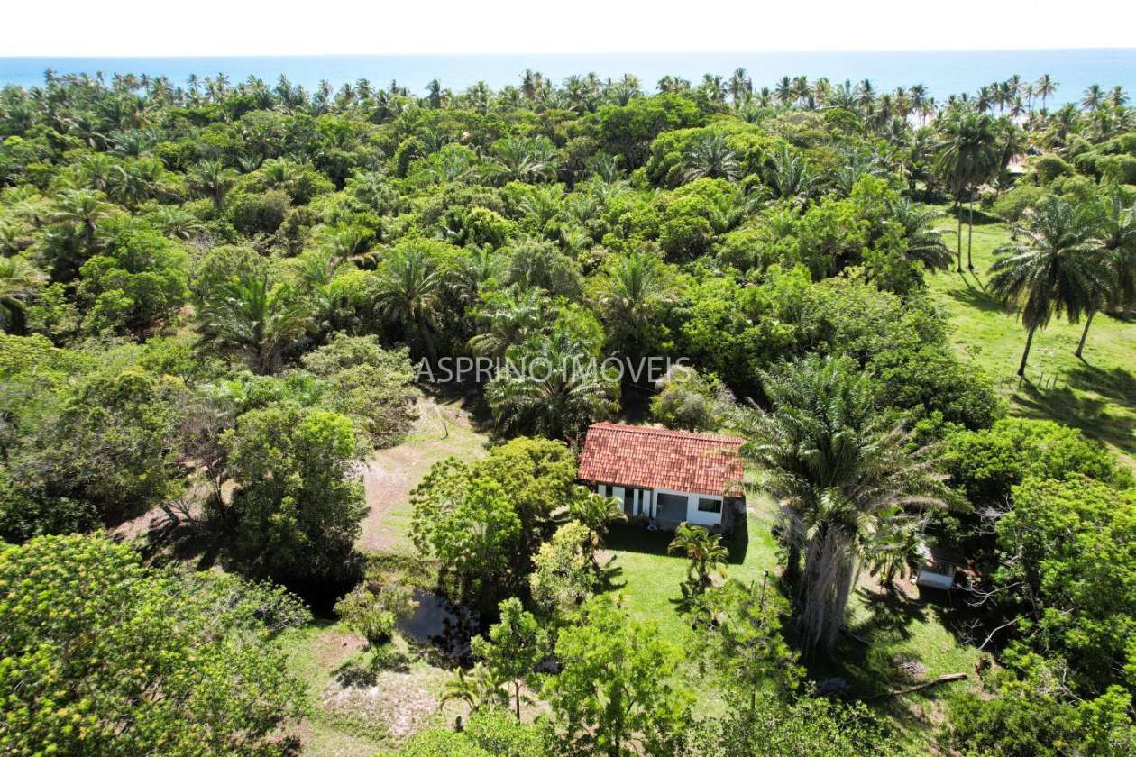 Terreno, 4 hectares - Foto 6