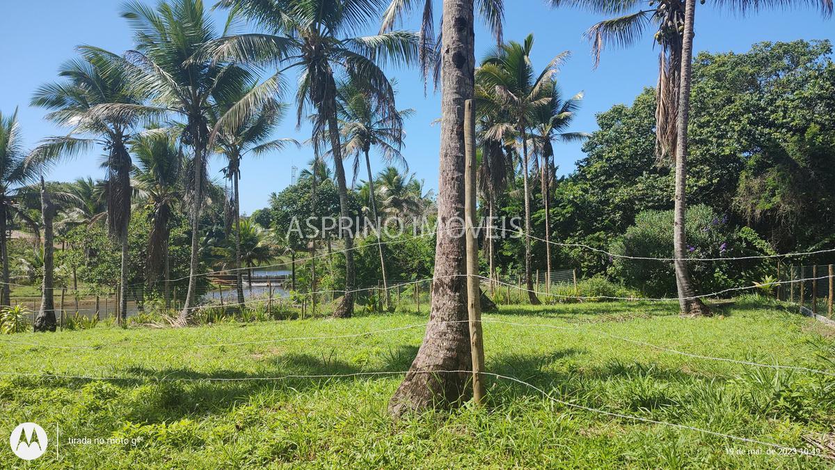 Terreno à venda, 335m² - Foto 8