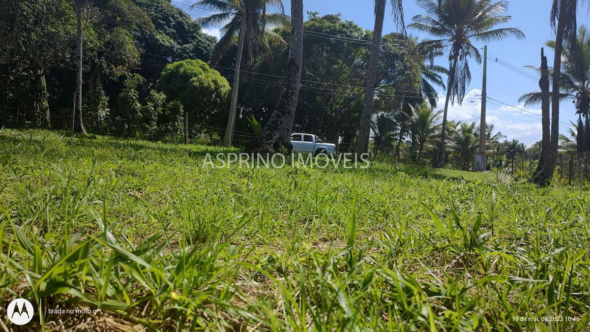 Terreno à venda, 335m² - Foto 9