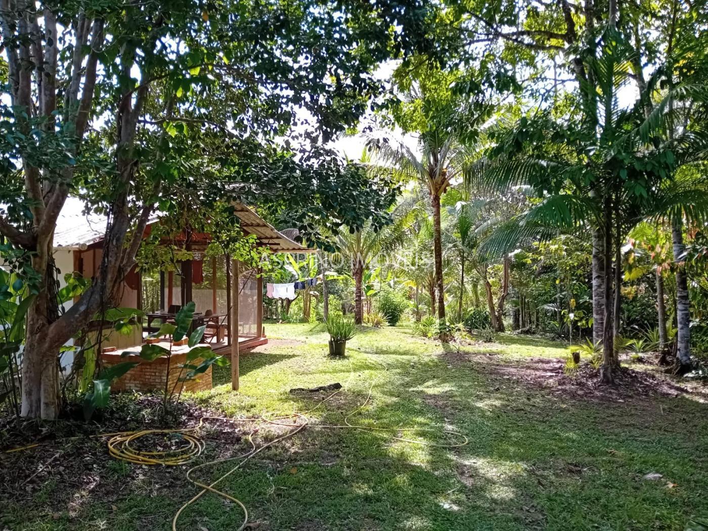 Sítio à venda, 40000m² - Foto 16