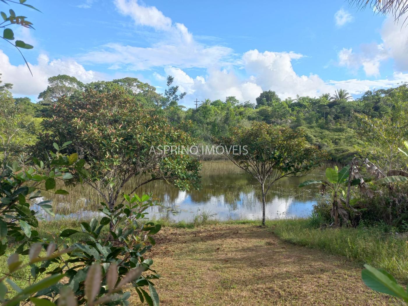 Sítio à venda, 40000m² - Foto 19