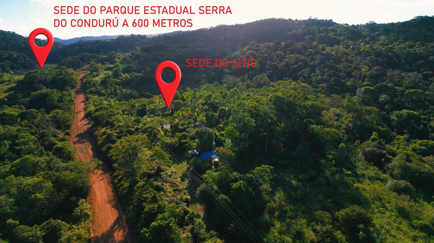 Sítio à venda, 40000m² - Foto 3