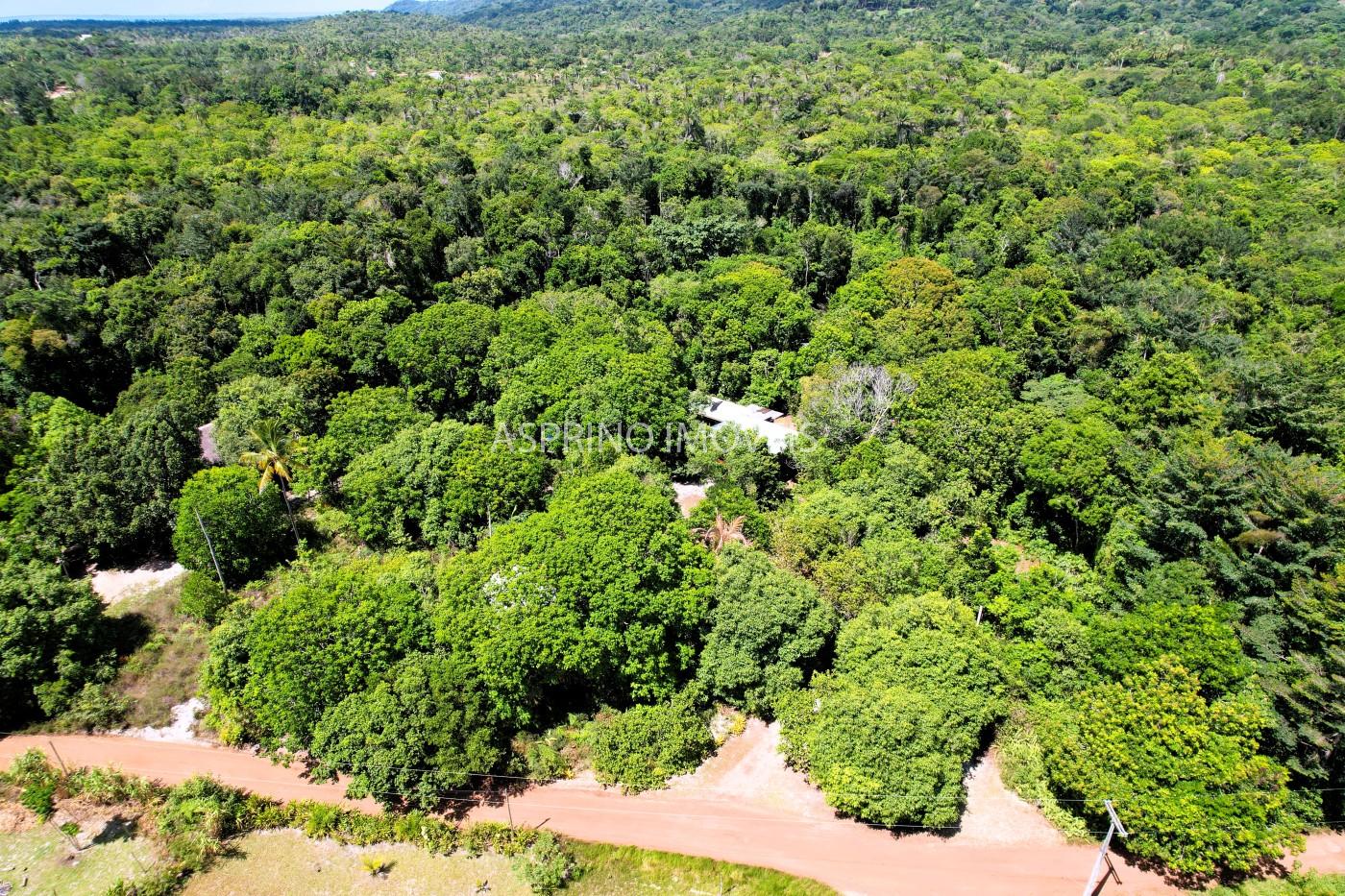 Sítio à venda, 5807m² - Foto 35