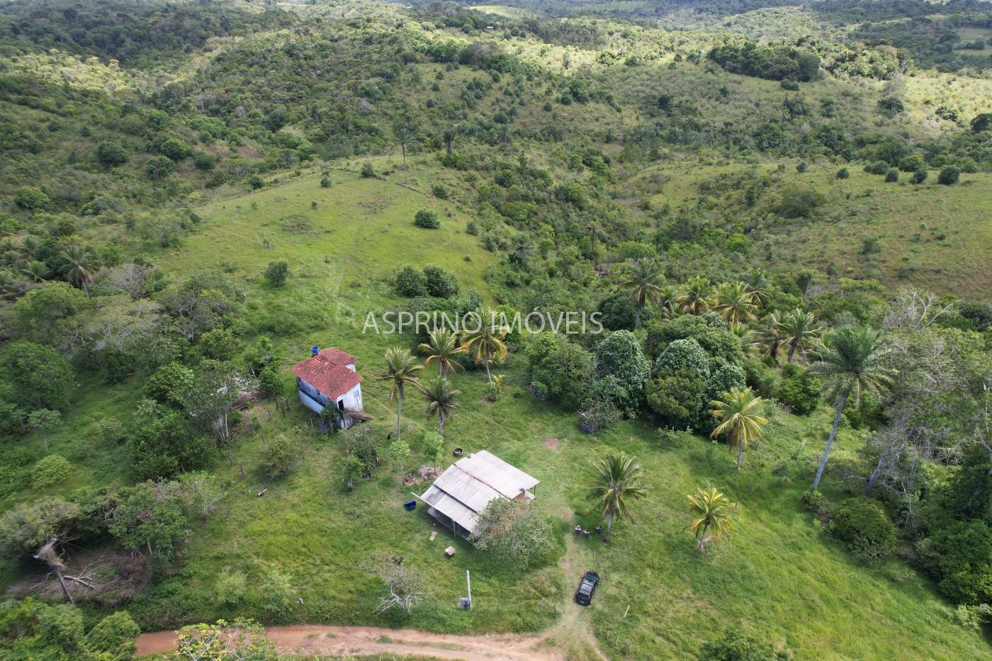 Fazenda à venda, 45m² - Foto 3