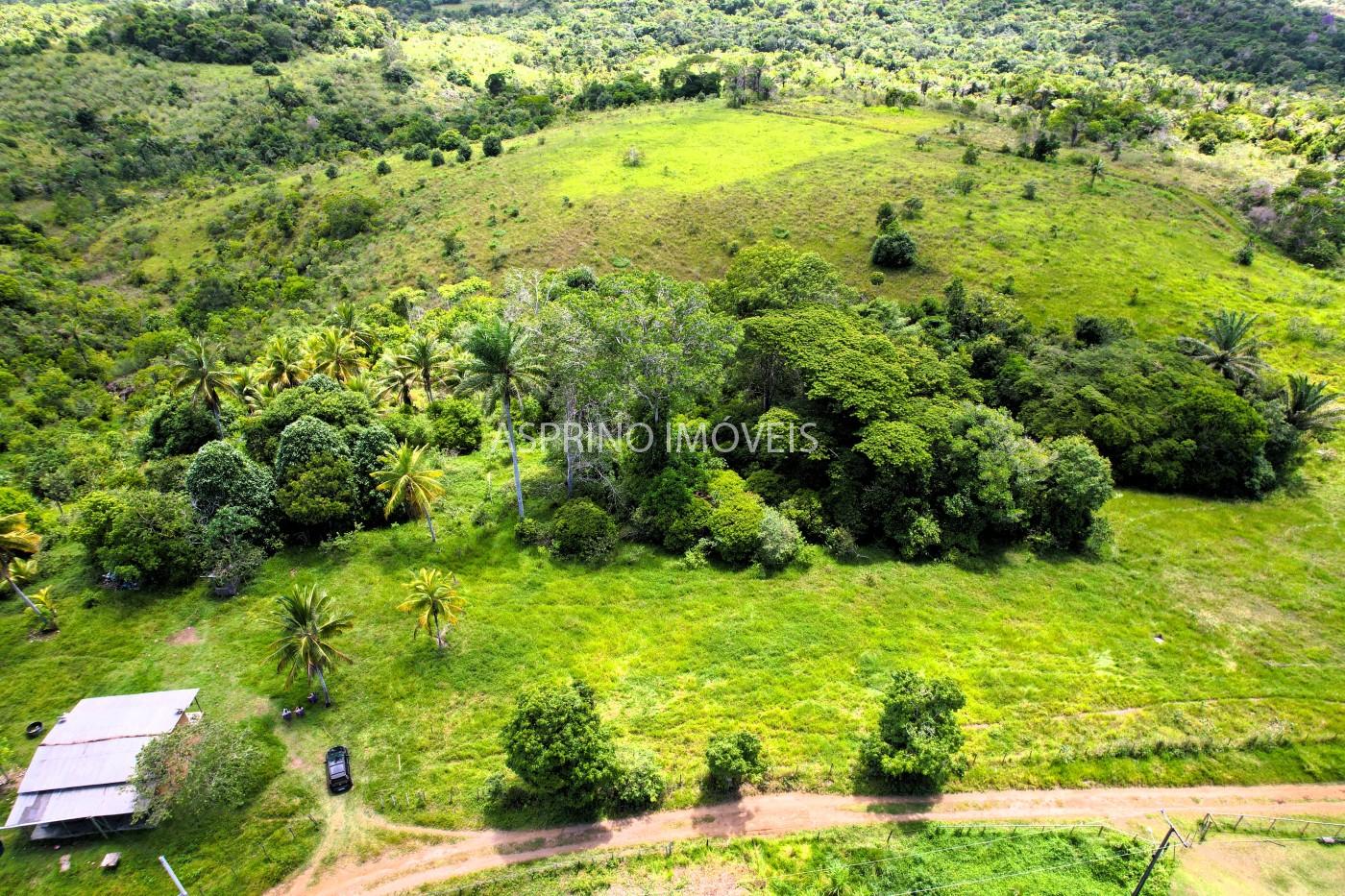 Fazenda à venda, 45m² - Foto 4