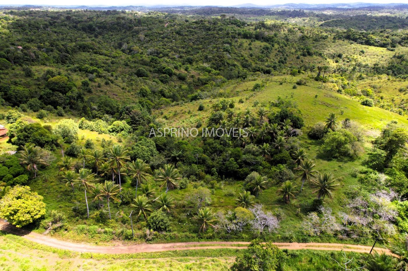 Fazenda à venda, 45m² - Foto 7