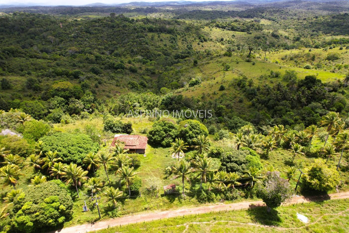 Fazenda à venda, 45m² - Foto 6