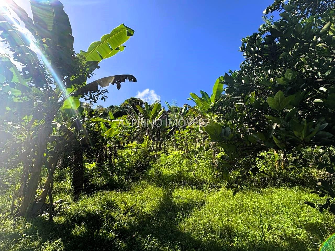 Sítio à venda, 25000m² - Foto 18