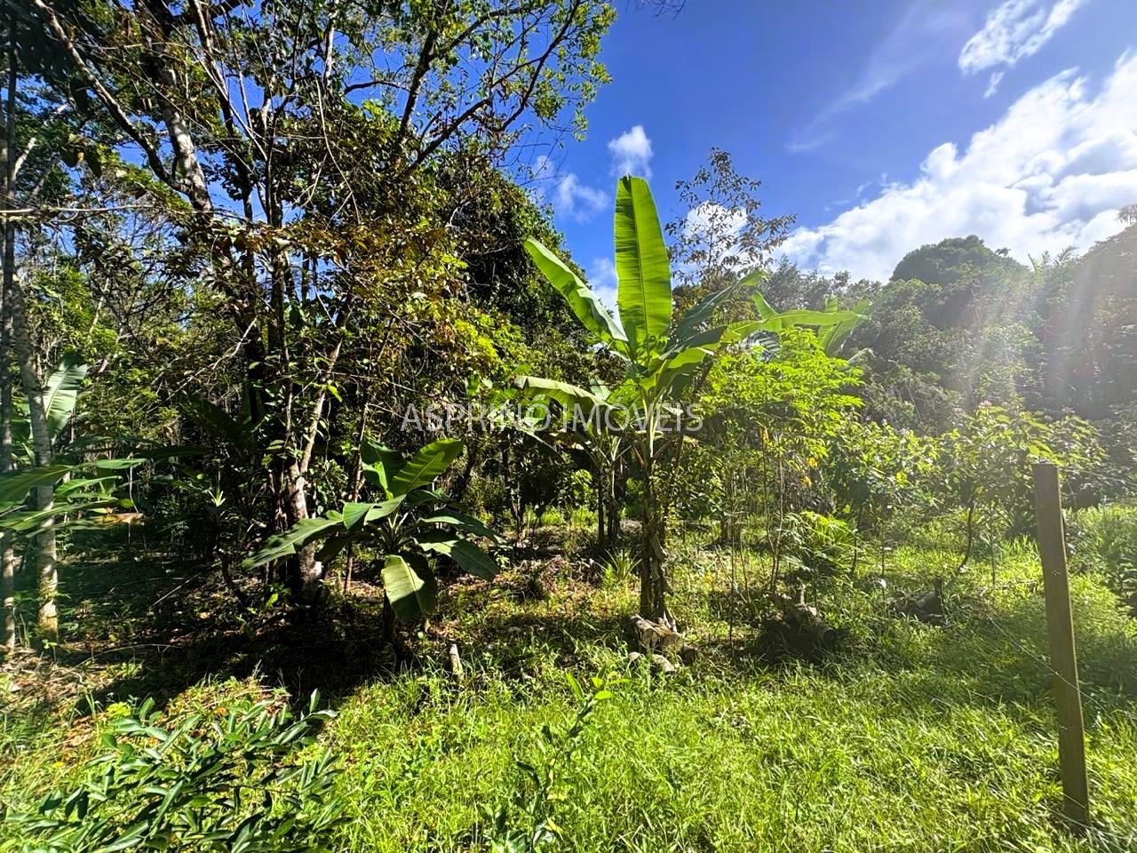 Sítio à venda, 25000m² - Foto 21