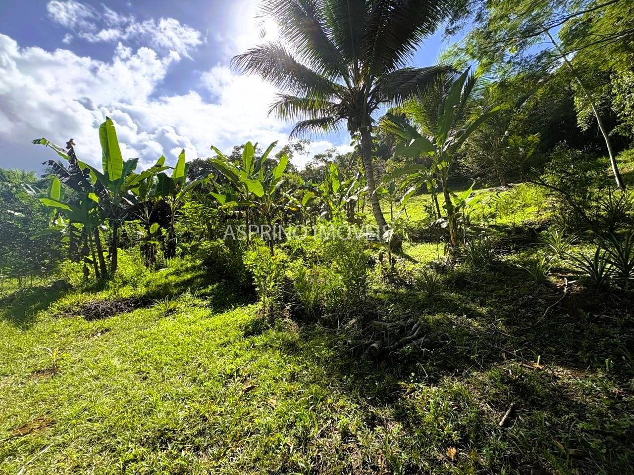 Sítio à venda, 25000m² - Foto 19