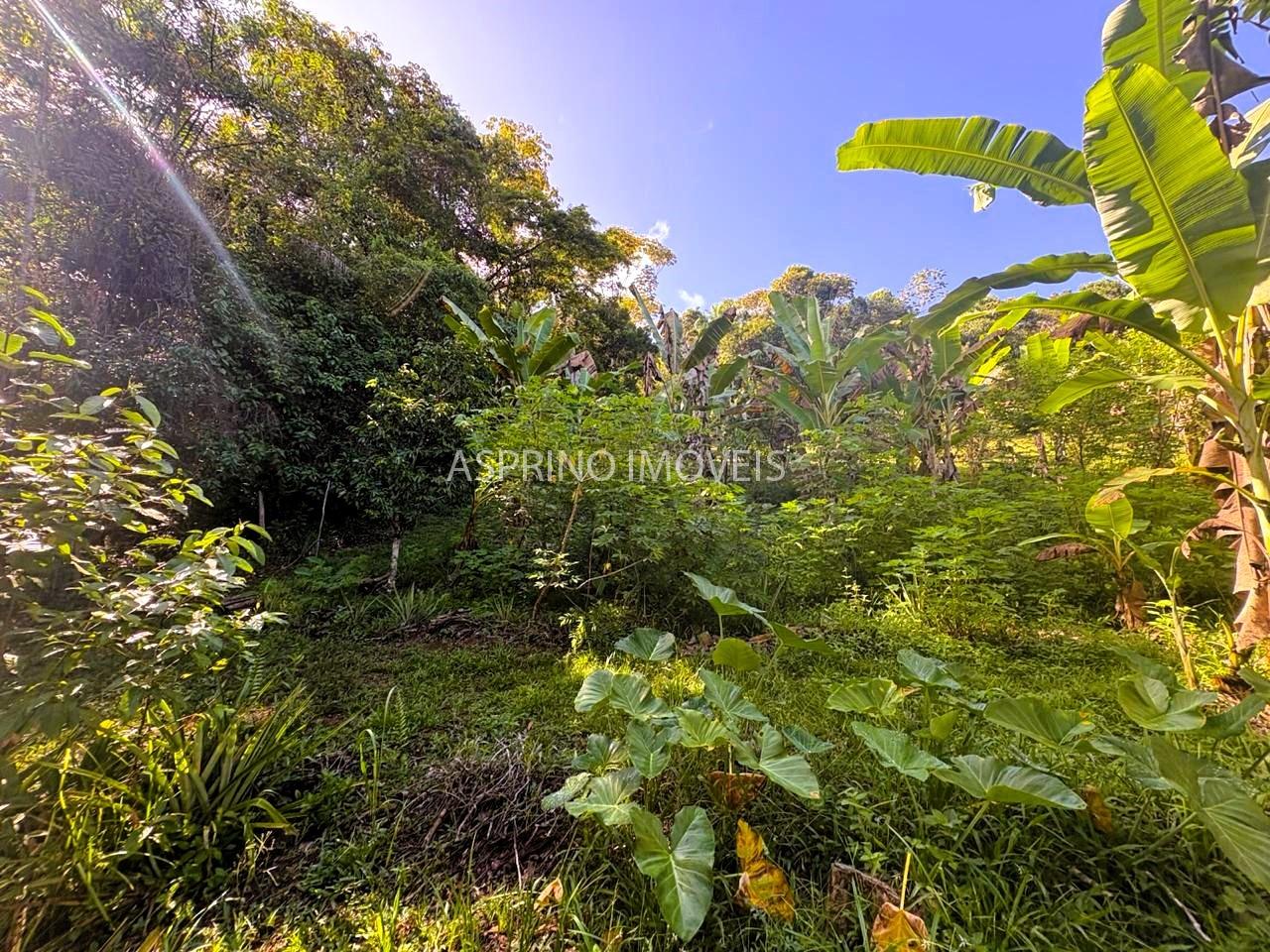 Sítio à venda, 25000m² - Foto 24