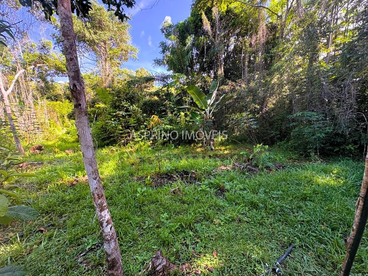 Sítio à venda, 25000m² - Foto 23