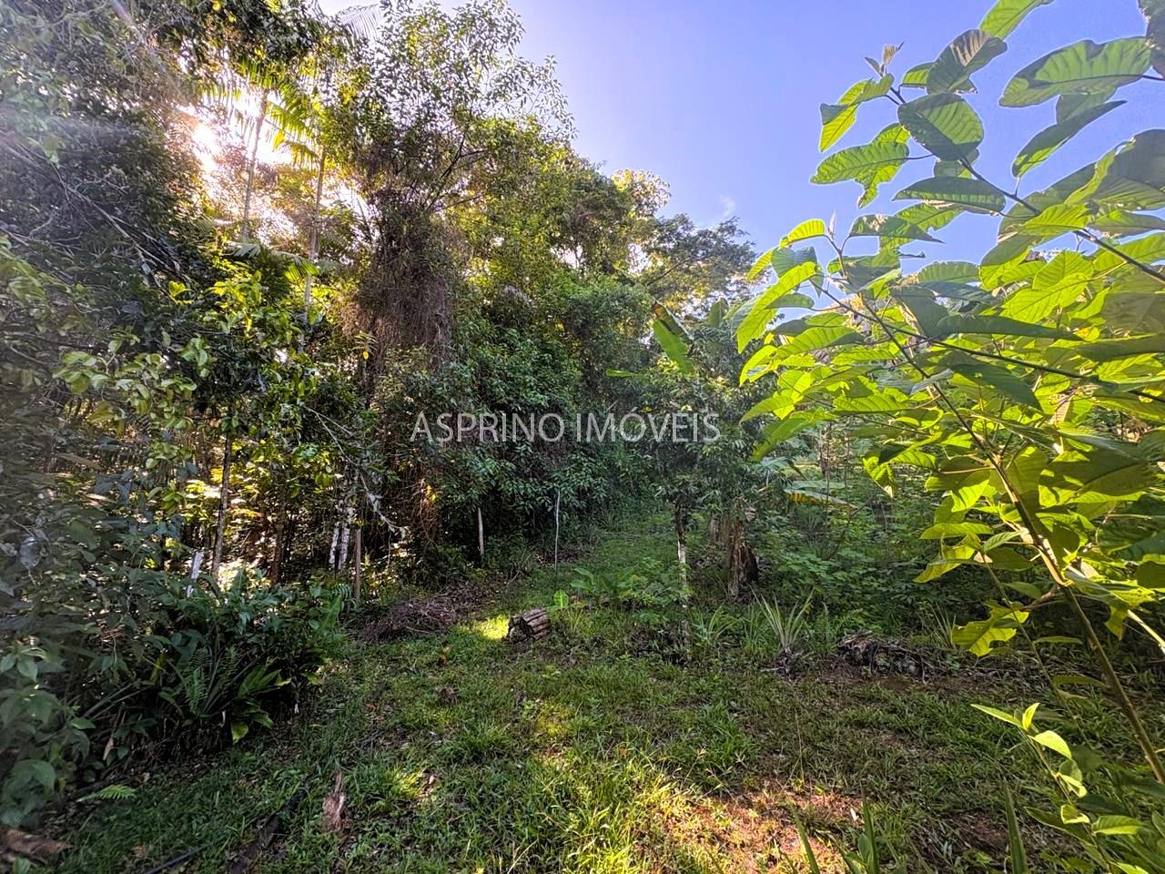 Sítio à venda, 25000m² - Foto 25