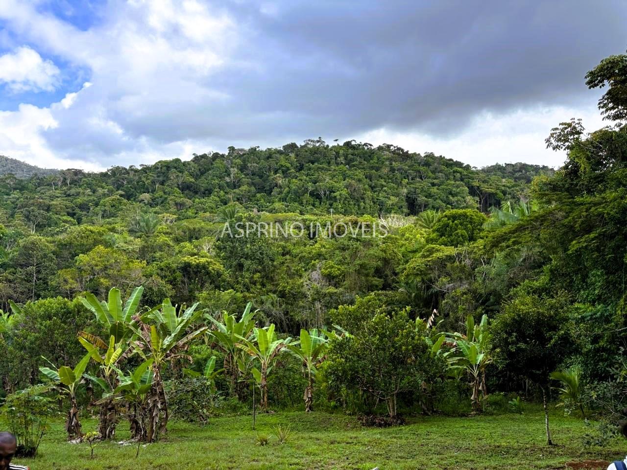 Sítio à venda, 25000m² - Foto 1