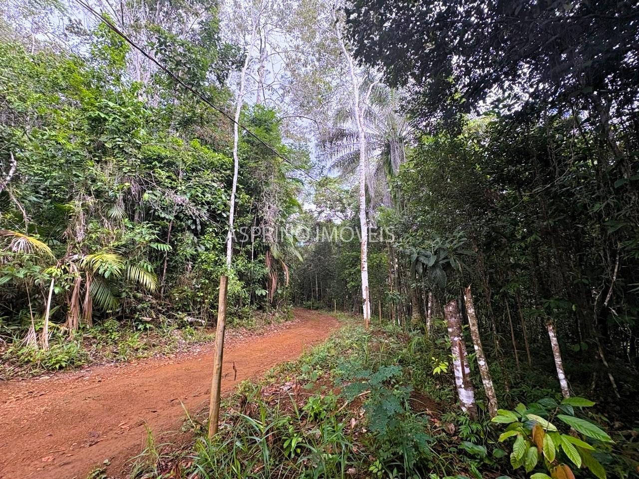 Sítio à venda, 25000m² - Foto 12
