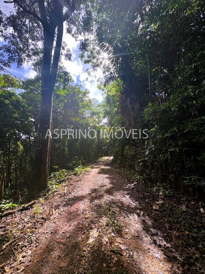 Sítio à venda, 25000m² - Foto 14