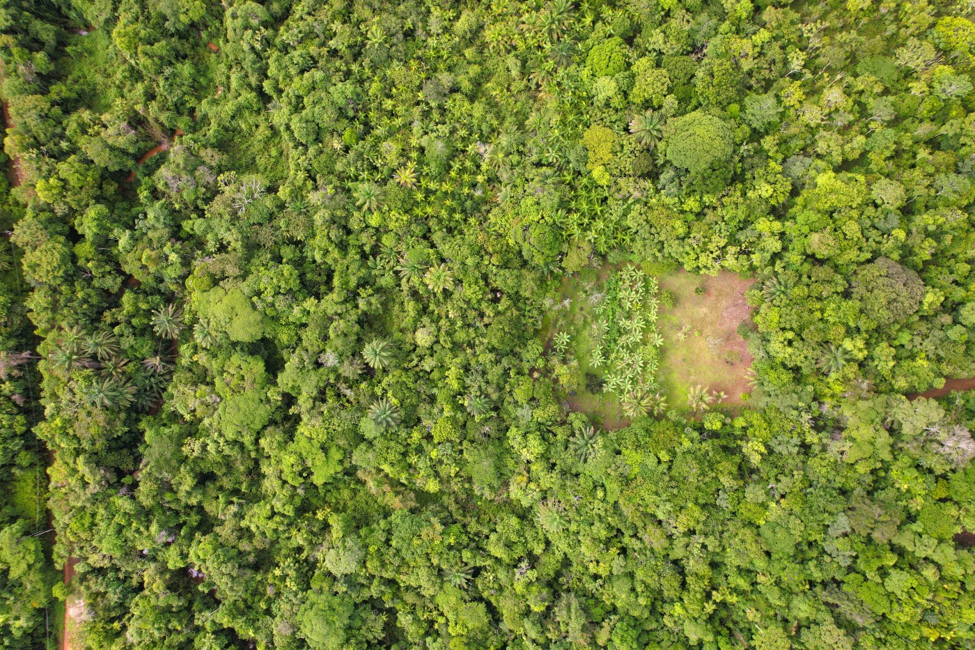 Sítio à venda, 25000m² - Foto 6