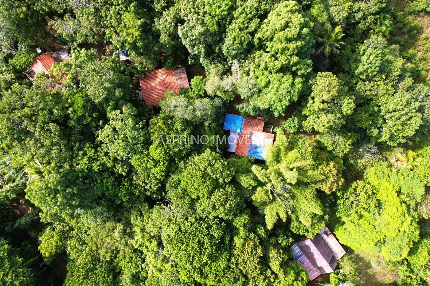 Sítio à venda com 7 quartos, 6187m² - Foto 6