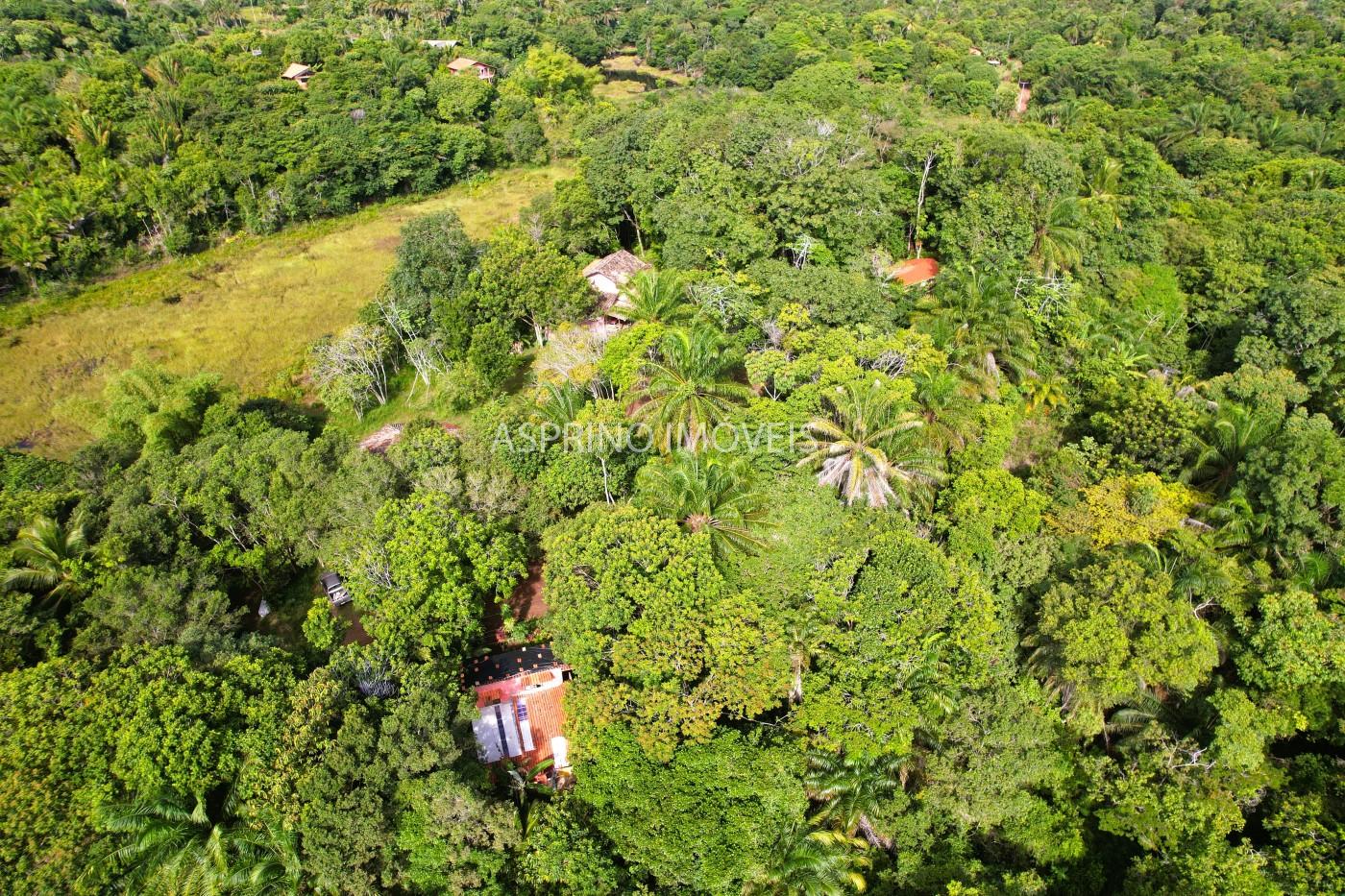 Sítio à venda com 7 quartos, 6187m² - Foto 2