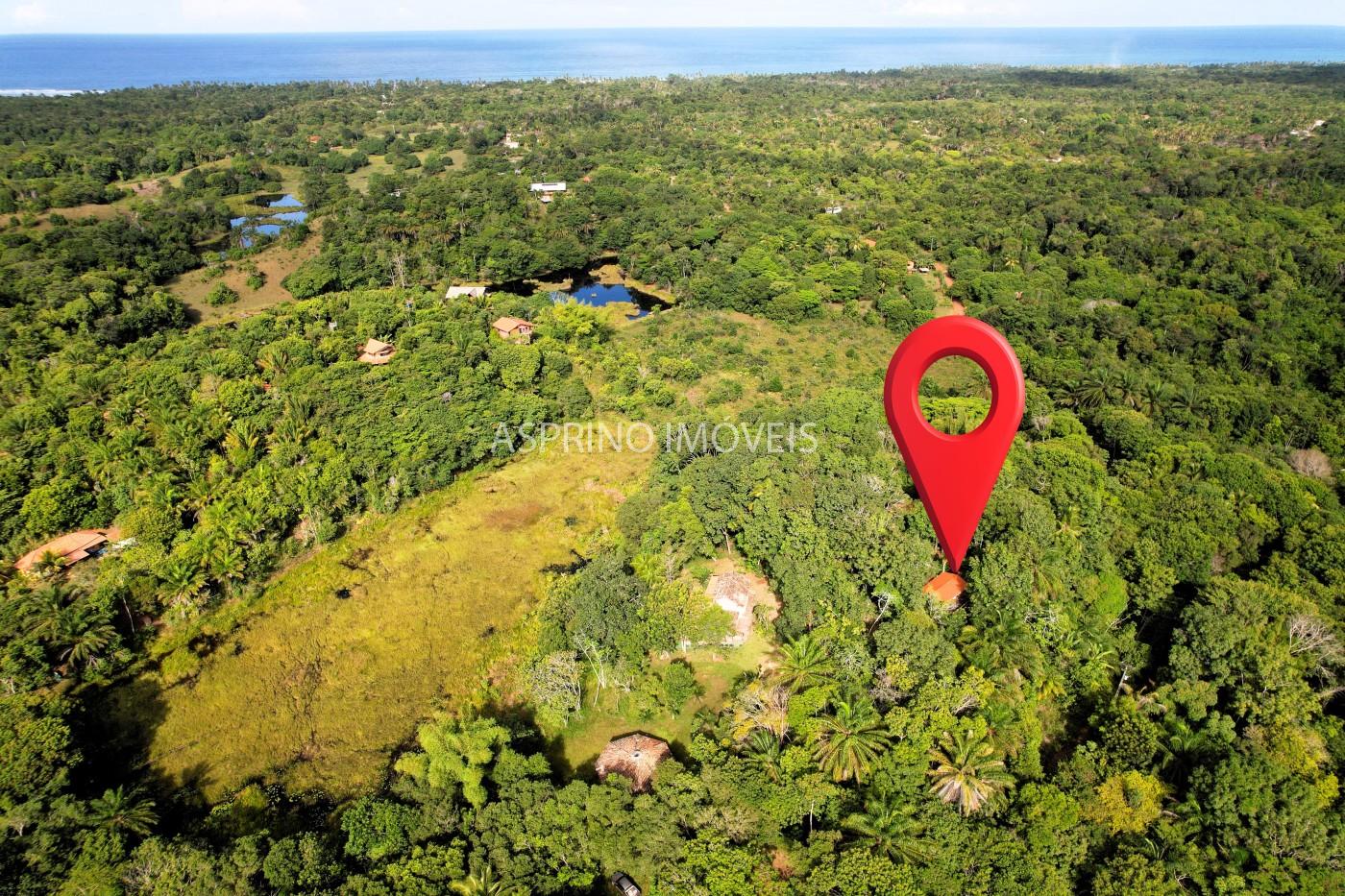 Sítio à venda com 7 quartos, 6187m² - Foto 3