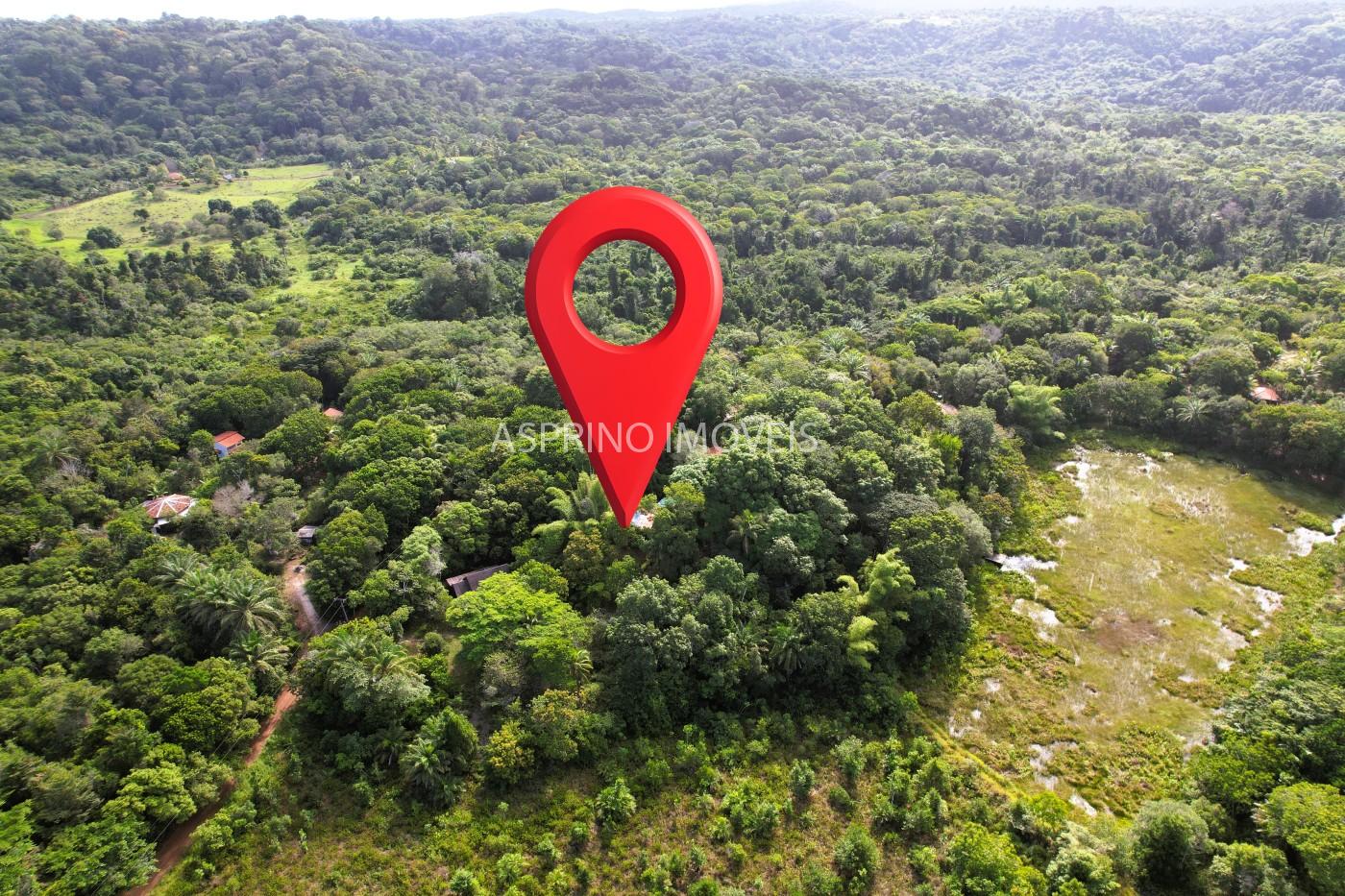 Sítio à venda com 7 quartos, 6187m² - Foto 4