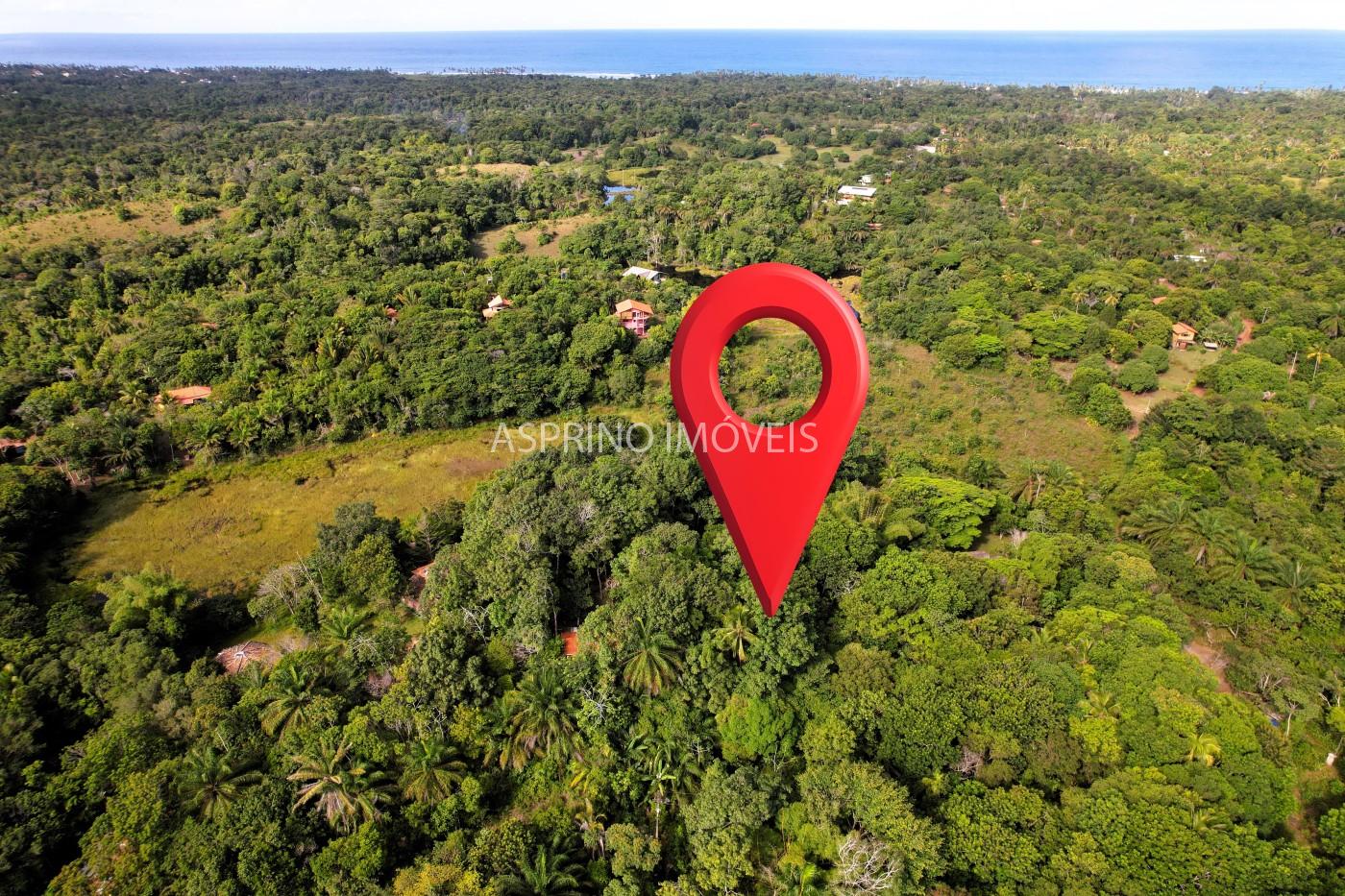 Sítio à venda com 7 quartos, 6187m² - Foto 5