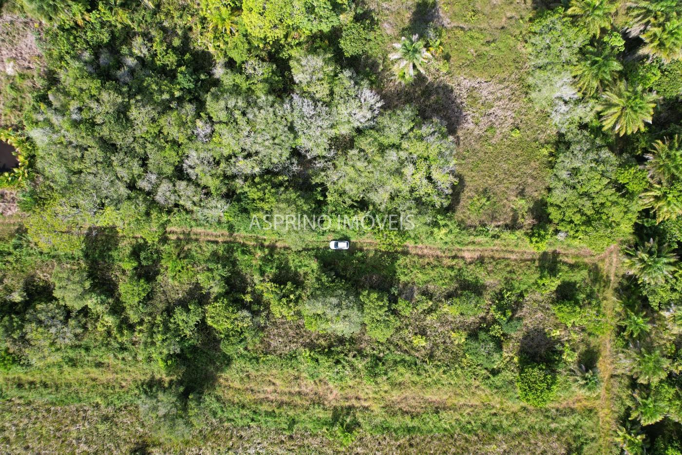 Terreno à venda, 360m² - Foto 11