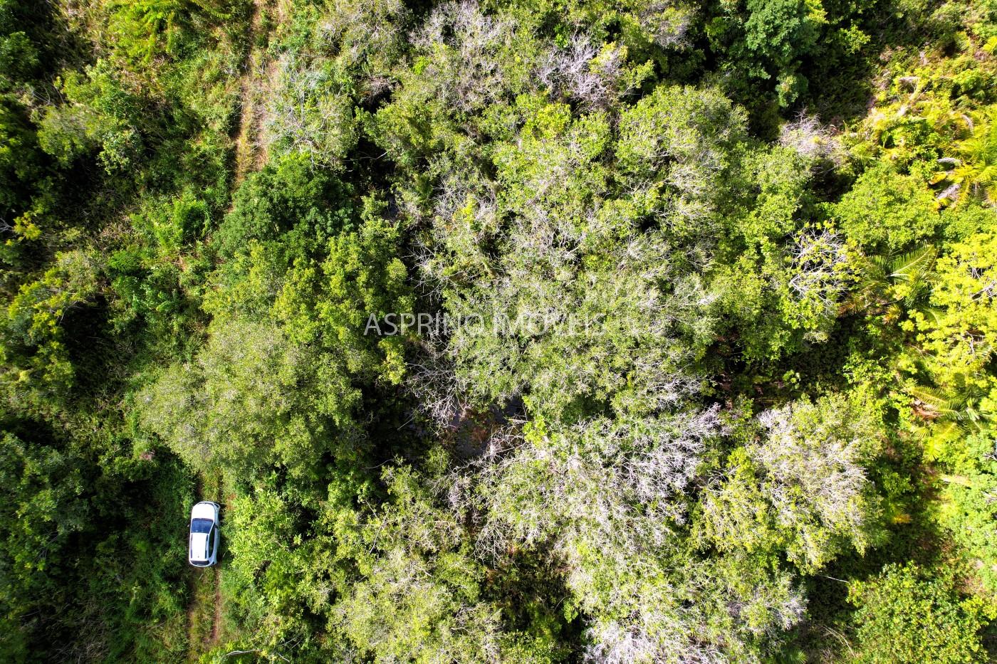 Terreno à venda, 360m² - Foto 13