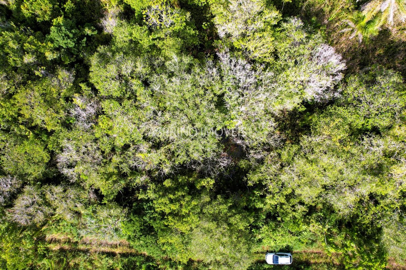 Terreno à venda, 360m² - Foto 14