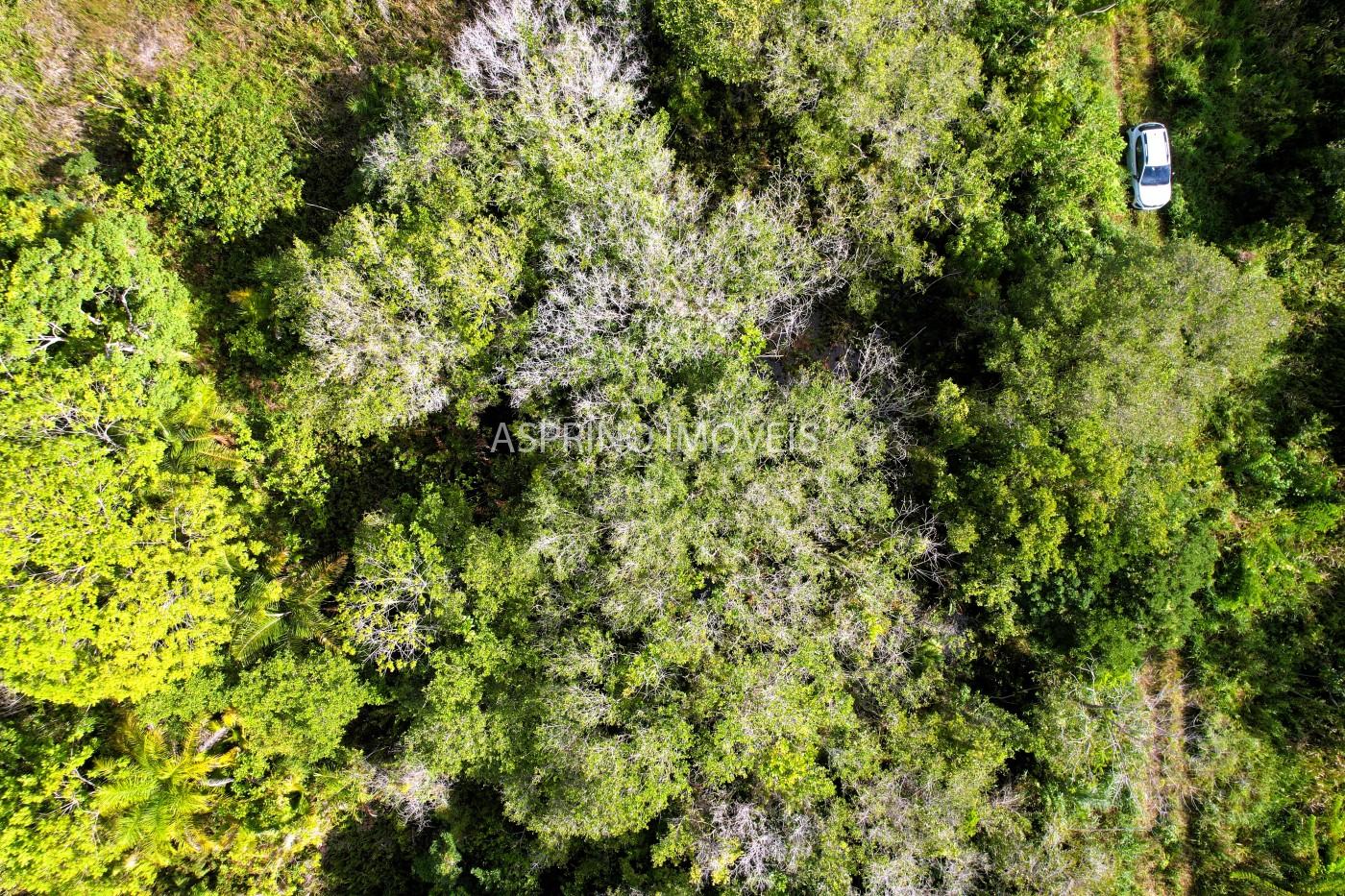 Terreno à venda, 360m² - Foto 15